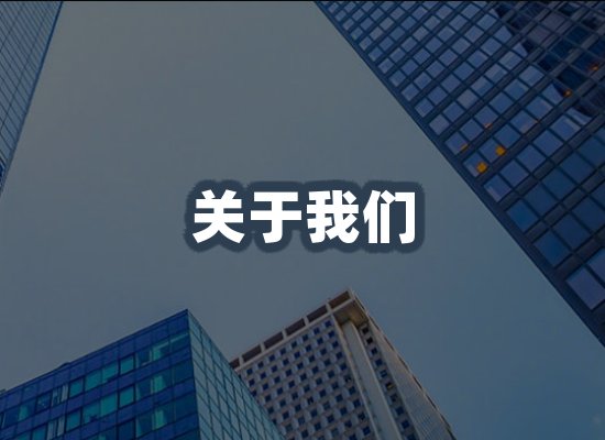 专业团队