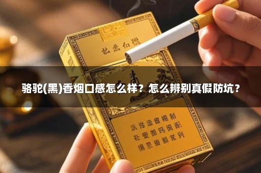 骆驼(黑)香烟口感怎么样？怎么辨别真假防坑？