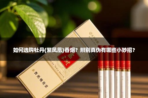 如何选购牡丹(紫凤凰)香烟？辨别真伪有哪些小妙招？